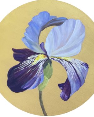 Iris