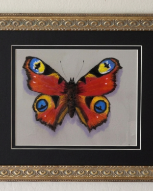 3D Butterfly