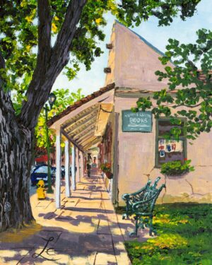 Shadows at Towne Book Store